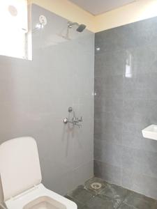 Bathroom Image of 729 Sq.ft 2 BHK Apartment / Flat for rent in GLS Avenue 81, Sector 81 Gurgaon for Rs. 18800