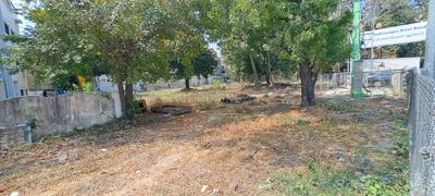 Vijaya Gardens Plot View 2