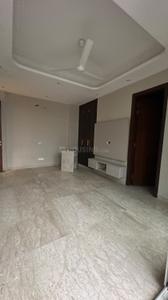 Hall Image of 2000 Sq.ft 3 BHK Builder Floor for sale in Chittaranjan Park New Delhi for Rs. 47500000