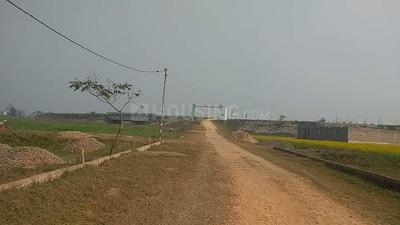 Image of 1350 Sq.ft Residential Plot / Land for sale in Mabbi Belauna, Darbhanga for Rs. 1200000