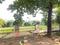 Sector M Plot View 2