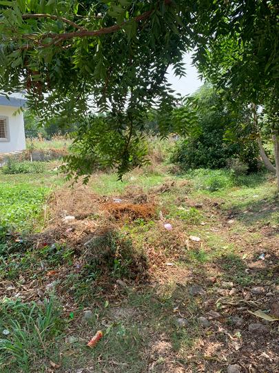 Manjari Budruk Main Image 1