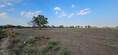 Agricultural Land