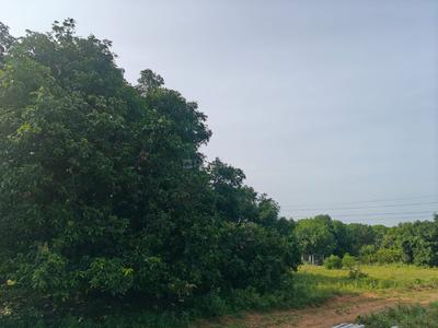 Image of 45302 Sq.ft Residential Plot / Land for sale in Kadavur, Madurai for Rs. 20000000