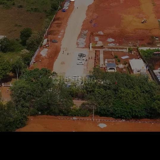 Myron Dynasty Main Image 1