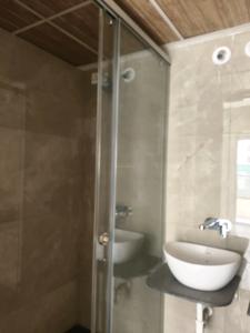 Common Bathroom Image of 1376 Sq.ft 3 BHK Apartment / Flat for rent in Mind MSR Seasons, Chinchwad Pune for Rs. 40000