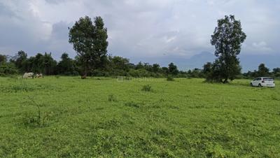 Image of 49005 Sq.ft Residential Plot / Land for sale in Murbad, Thane for Rs. 8775000