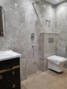 Common Bathroom Image of 600 Sq.ft 2 BHK Apartment / Flat for sale in Dream Ultra Luxury by Dream Home Buildtech, Mahavir Enclave New Delhi for Rs. 6100000