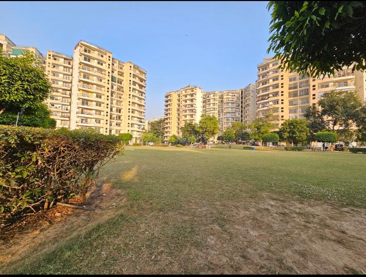 MVL Coral Main Image 1