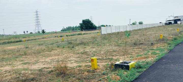 Annur Main Image 1