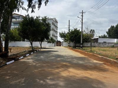 Residential Plot