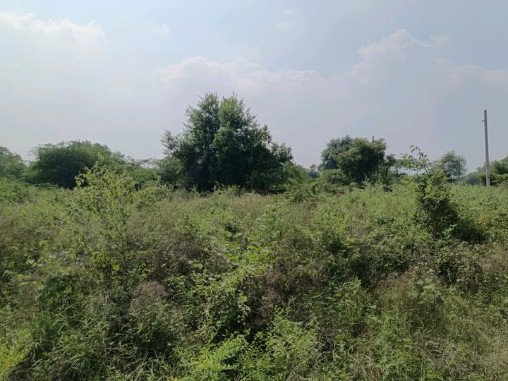 Sector 34 Rohini Main Image 1