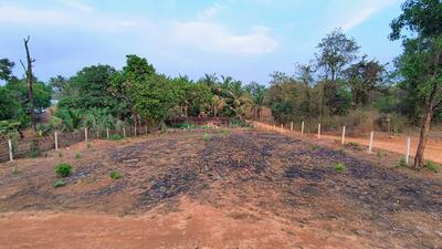 Image of 9000 Sq.ft Residential Plot / Land for sale in Kankavli, Sindhudurg for Rs. 3600000