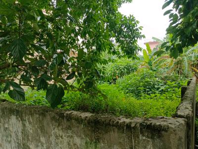 Main Entrance Image of 2150 Sq.ft Residential Plot / Land for sale in Pancha Sayar Kolkata for Rs. 9900000