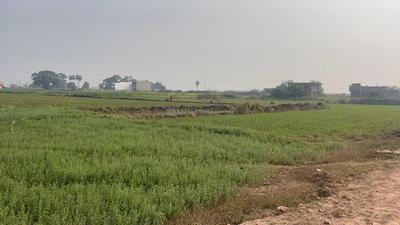 Image of 1200 Sq.ft Residential Plot / Land for sale in Bihta, Patna for Rs. 3358800