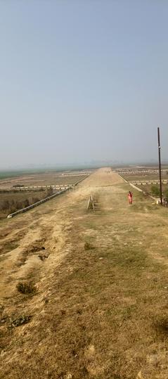 Gemini Gardenia Main Image 1