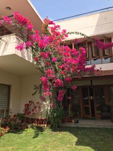 Image of 9600 Sq.ft 4 BHK Villa for sale in Kyalasanahalli, Bengaluru for Rs. 84000004