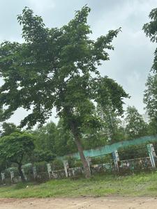 Image of 3200 Sq.ft Residential Plot / Land for sale in Dunda, Raipur for Rs. 7040000