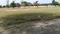 Telcom Woods residency Sarjapura Main Image 1