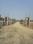 Mati Plot View 2