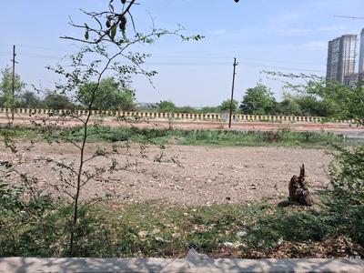 Sector 151 Plot View 2