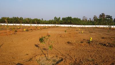 Image of 150 Sq.ft Residential Plot / Land for sale in Gajapatinagaram, Vizianagaram for Rs. 750000
