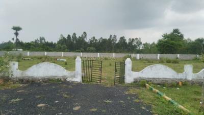 Residential Plot