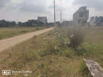 Block B Plot View 2