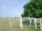 BDL GROUP ROYAL CITY Plot View 1