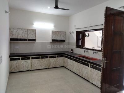 Kitchen Image of 3300 Sq.ft 3 BHK Builder Floor for rent in Sector 64 Mohali for Rs. 35000