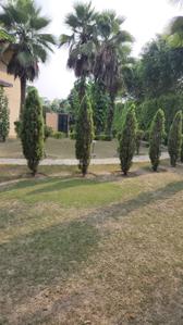 Image of 3000 Sq.ft 3 BHK Farm House for sale in DPL Nature Retreat, Tech Zone, Greater Noida for Rs. 7500000