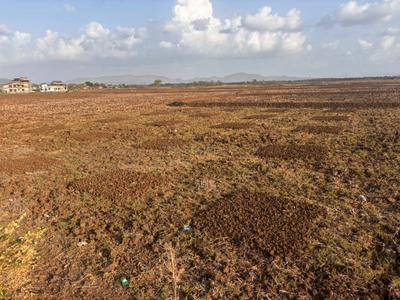Residential Plot