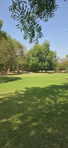 Image of 272 Sq.ft Residential Plot / Land for sale in Bavla, Ahmedabad for Rs. 1860000