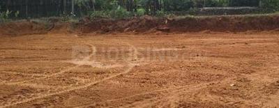 Image of 1410 Sq.ft Residential Plot / Land for sale in Pallikkara, Kochi for Rs. 2200000
