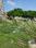 Vrindavan yojna sec 12 B  kahlon garden cit Main Image 1