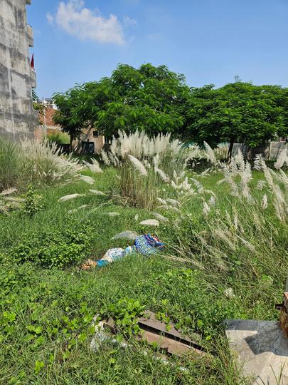 Vrindavan yojna sec 12 B  kahlon garden cit Main Image 1