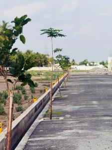 Image of 870 Sq.ft Residential Plot / Land for sale in Chamundi Sunrise Valley, Saravanampatty, Coimbatore for Rs. 2975000
