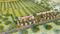 Suvidha Enclave Phase 2 Plot View 2