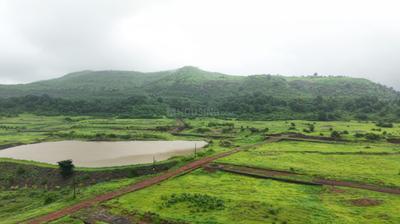 Trimbak Plot View 2