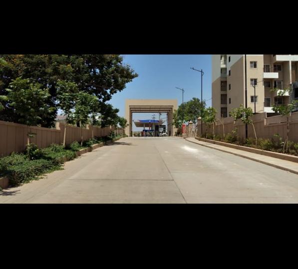 Expat Genesis Main Image 1