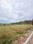 Biharigarh Plot View 2