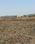 Sarde Plot View 2