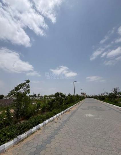Bagru Main Image 1