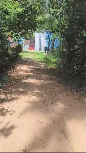 Mannuthy Main Image 1