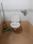 Cosmos Prime Attached Bathroom with Bedroom Two 3
