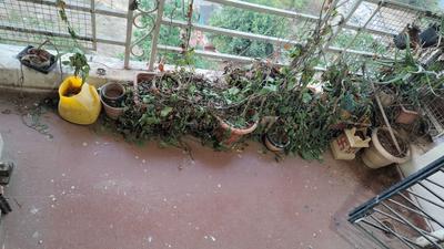 Balcony Image of 1115 Sq.ft 2 BHK Apartment / Flat for sale in Aditya Group Dream Paradise, Ulwe Navi Mumbai for Rs. 11500000