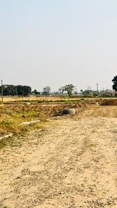 Image of 475 Sq.ft Residential Plot / Land for sale in Altus Space Muirwoods, New Chandigarh, Chandigarh for Rs. 37500000