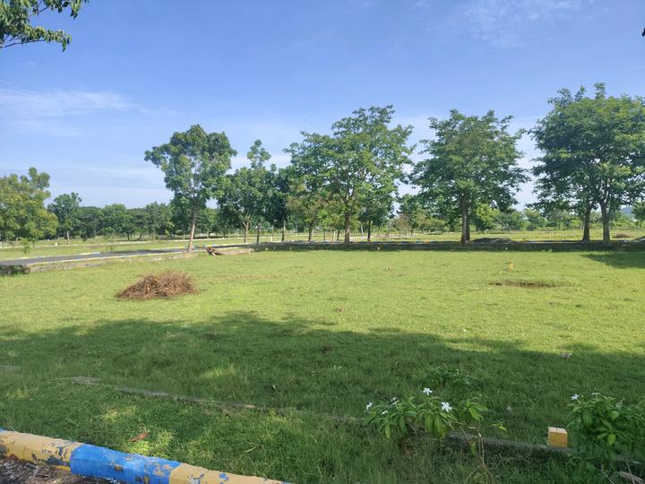 Sameera Universe Main Image 1