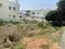 Karuparampalayam Pirvu Plot View 2