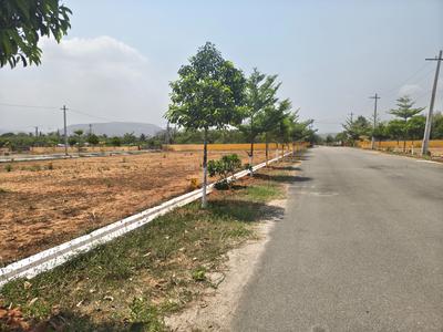 NAKKAPALLI PLOTS Plot View 3
